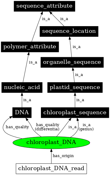 Graph image for SO:0001033