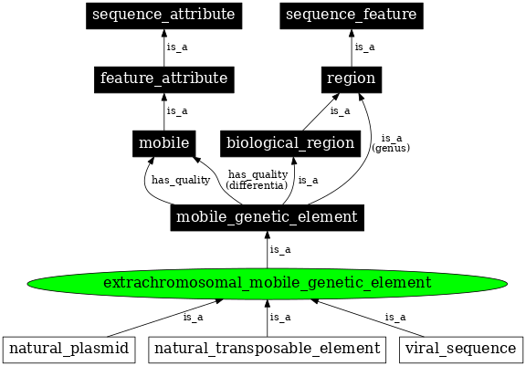 Graph image for SO:0001038