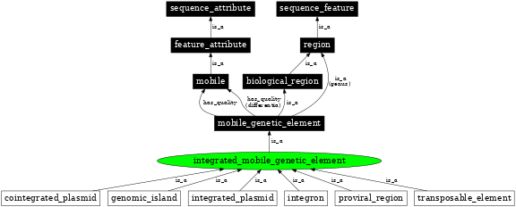 Graph image for SO:0001039