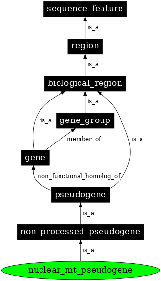 Graph image for SO:0001044