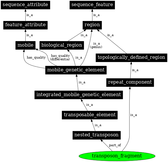 Graph image for SO:0001054