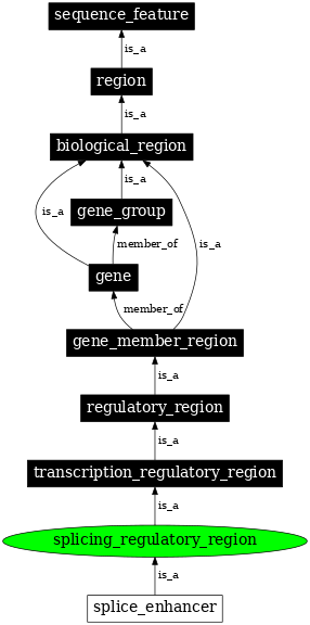 Graph image for SO:0001056