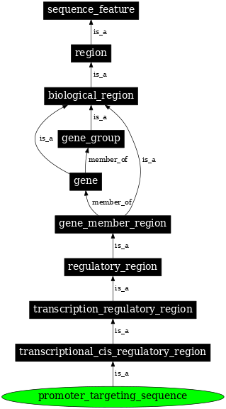 Graph image for SO:0001058