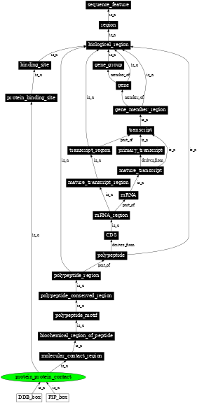 Graph image for SO:0001093