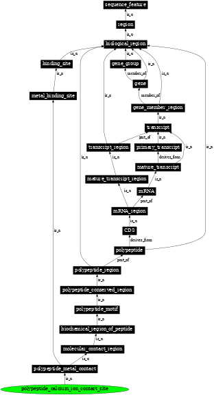 Graph image for SO:0001094