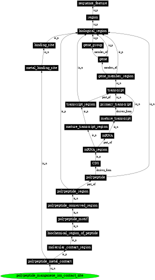 Graph image for SO:0001099