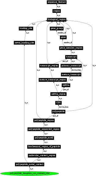 Graph image for SO:0001102