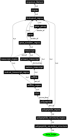 Graph image for SO:0001107