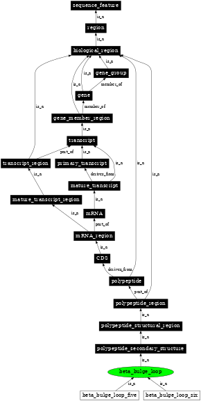 Graph image for SO:0001108