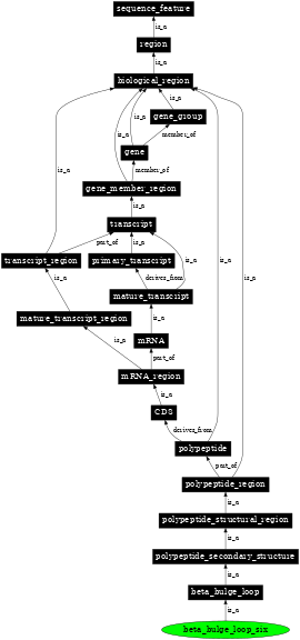 Graph image for SO:0001110