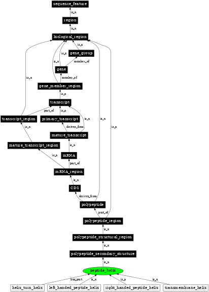 Graph image for SO:0001114