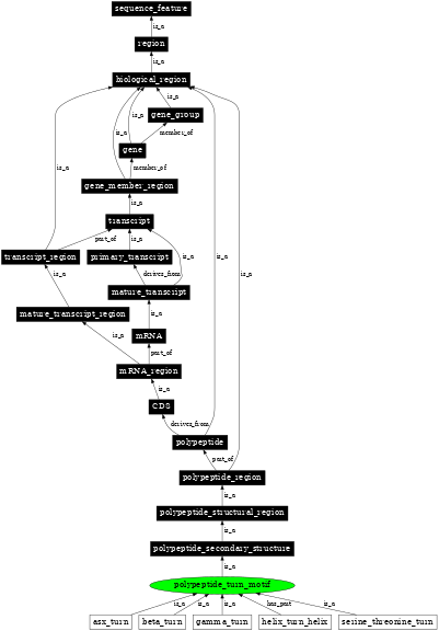 Graph image for SO:0001128