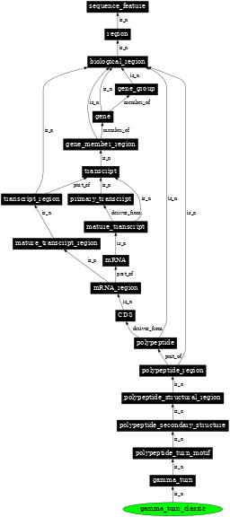 Graph image for SO:0001139