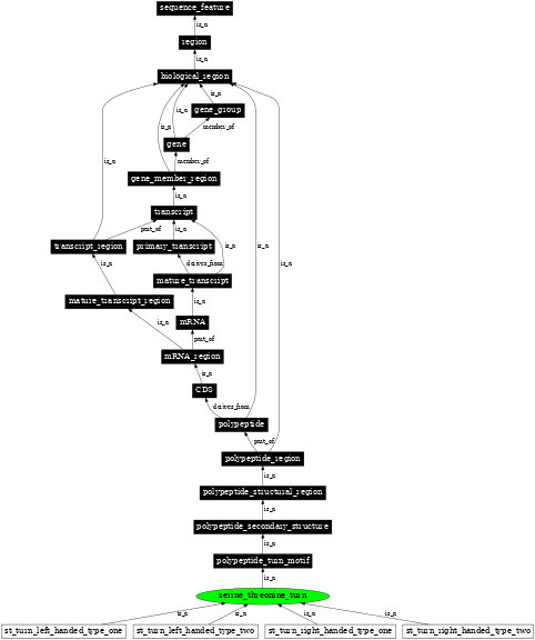 Graph image for SO:0001141