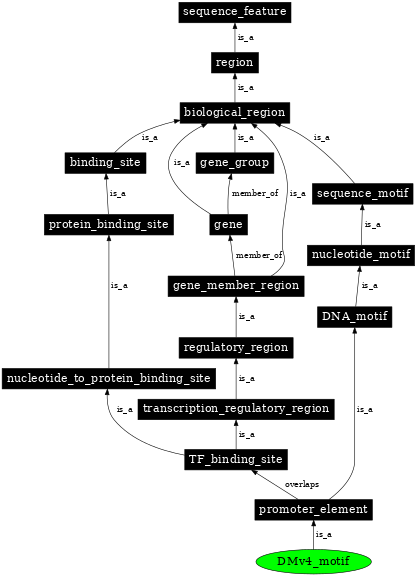 Graph image for SO:0001157