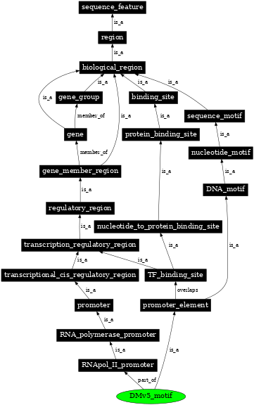 Graph image for SO:0001159