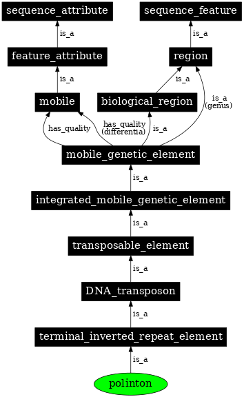 Graph image for SO:0001170