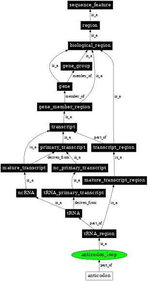 Graph image for SO:0001173