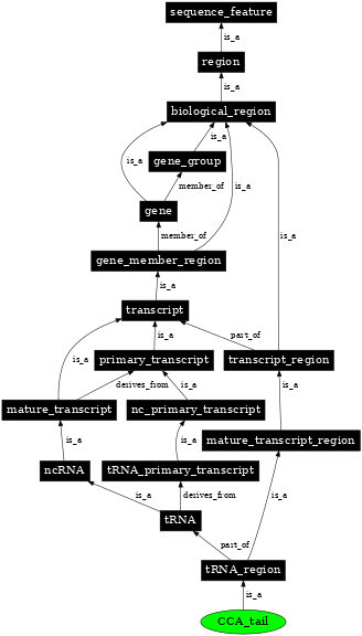 Graph image for SO:0001175