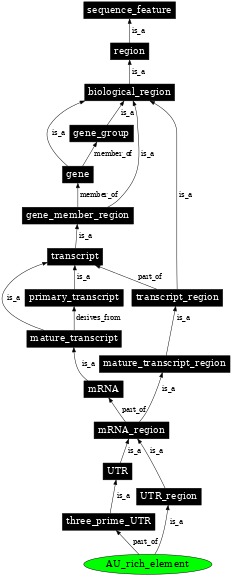 Graph image for SO:0001180