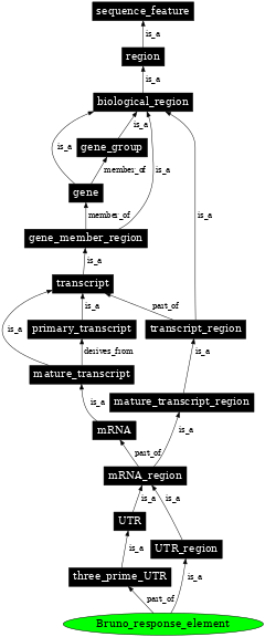 Graph image for SO:0001181