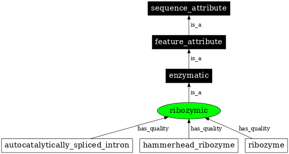 Graph image for SO:0001186