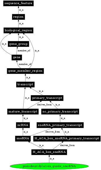 Graph image for SO:0001187