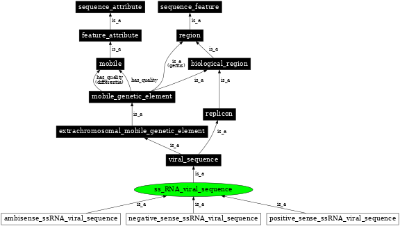 Graph image for SO:0001199