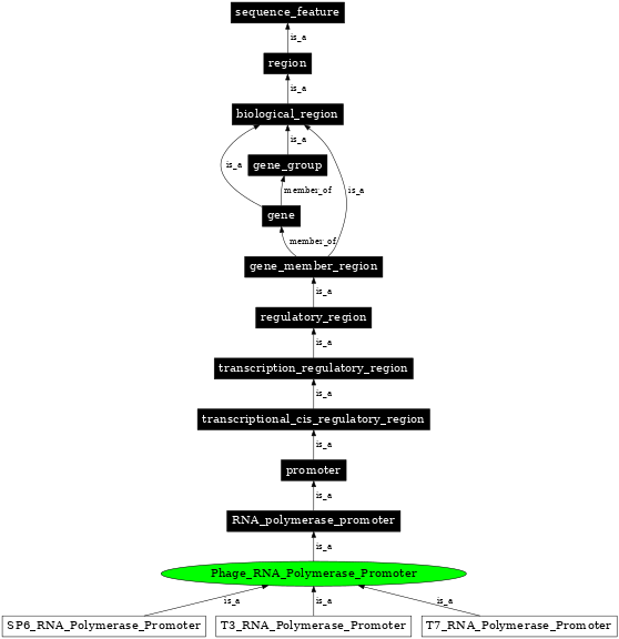 Graph image for SO:0001204