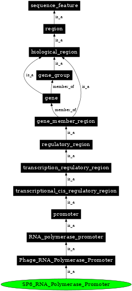 Graph image for SO:0001205