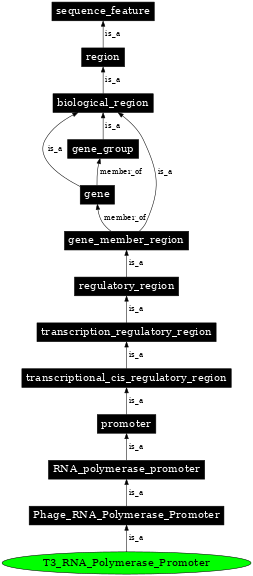 Graph image for SO:0001206