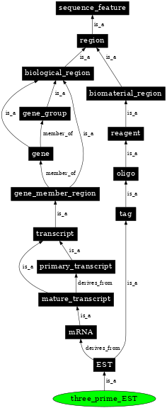 Graph image for SO:0001209