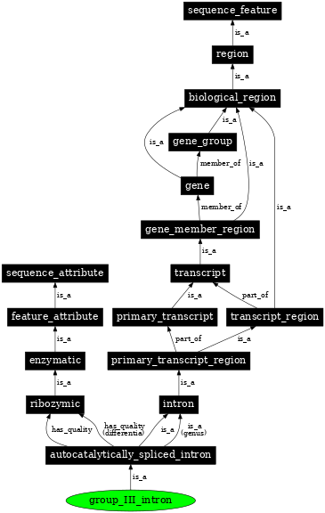 Graph image for SO:0001213