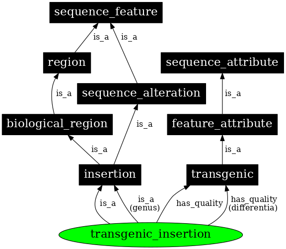 Graph image for SO:0001218