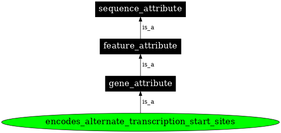 Graph image for SO:0001241