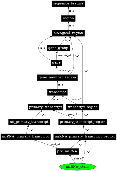 Graph image for SO:0001245