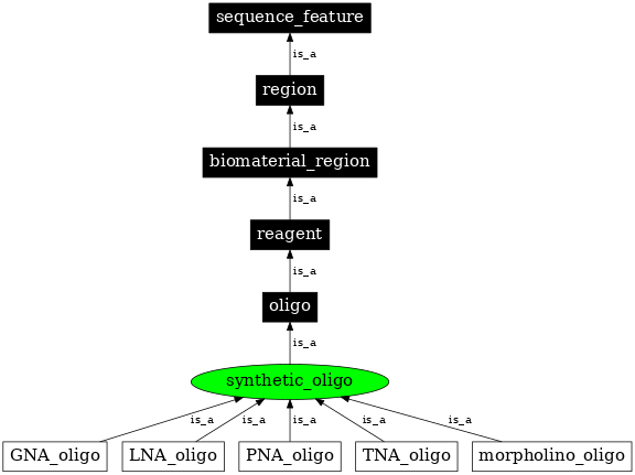 Graph image for SO:0001247