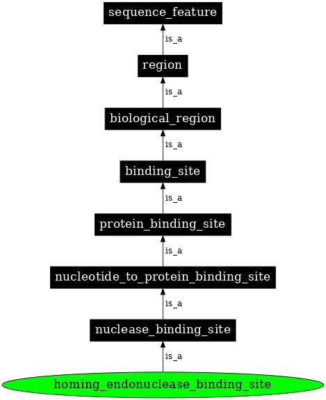 Graph image for SO:0001257