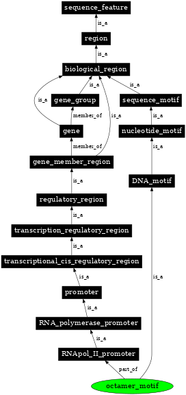 Graph image for SO:0001258