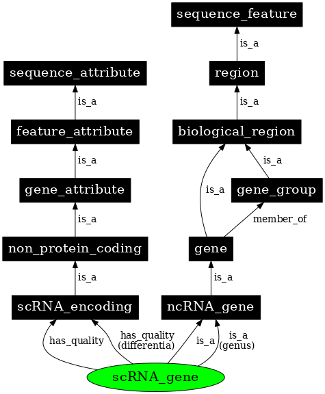 Graph image for SO:0001266