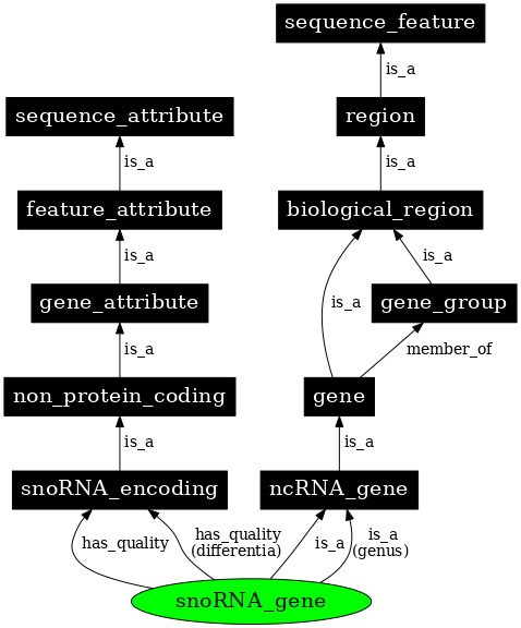 Graph image for SO:0001267