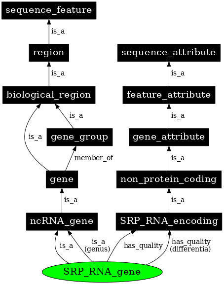 Graph image for SO:0001269