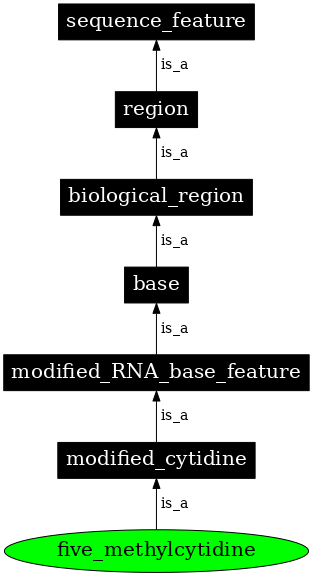 Graph image for SO:0001282