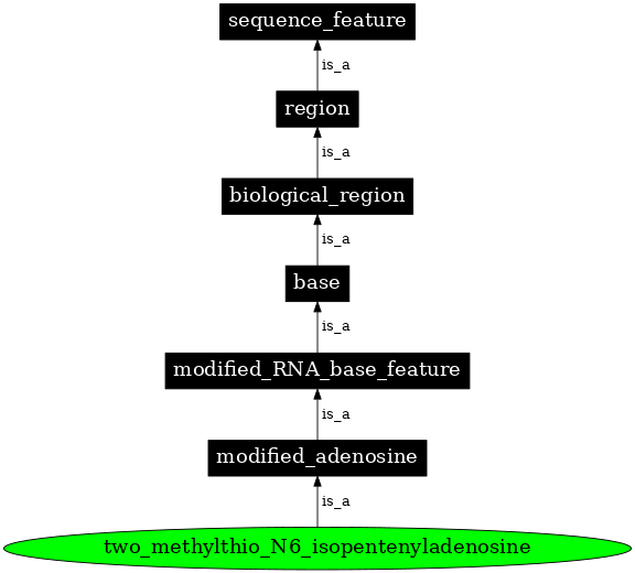 Graph image for SO:0001301