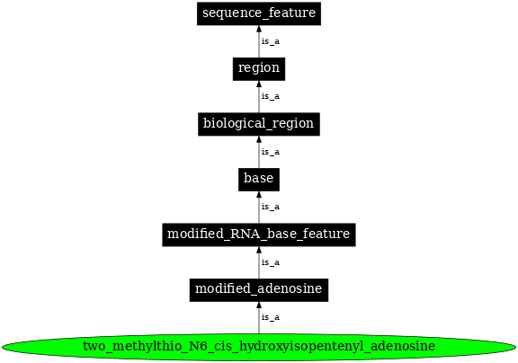 Graph image for SO:0001303