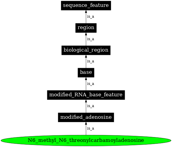 Graph image for SO:0001307