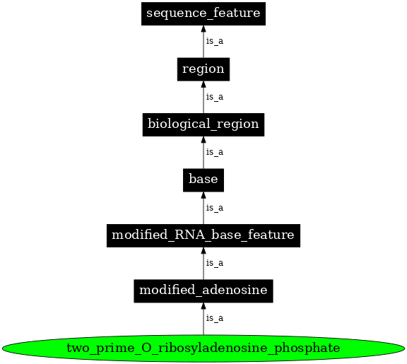 Graph image for SO:0001310