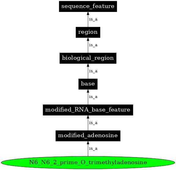 Graph image for SO:0001313