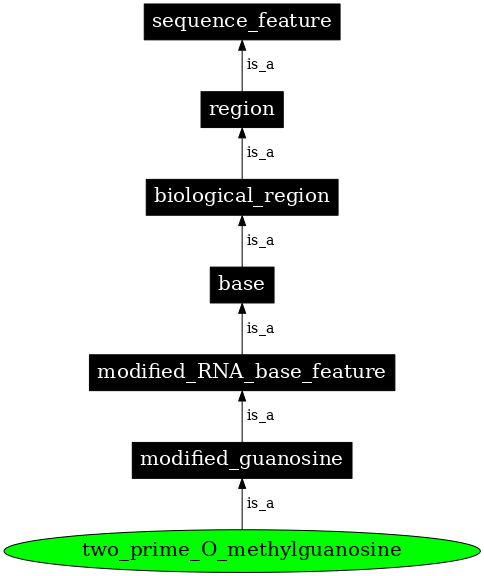 Graph image for SO:0001327