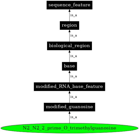 Graph image for SO:0001330